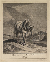 KG 01078
          <br/>
          Entwurf einiger Pferde. Sechster Theil. (18 bladen)
          <br/>
          <em>Ridinger, Johann Elias (1698-1767)</em>